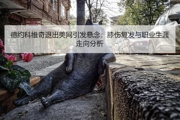德约科维奇退出美网引发悬念：膝伤复发与职业生涯走向分析